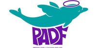 PADF Logo: A playful dolphin icon gracefully accompanies bold uppercase letters 'PADF' in the foreground.