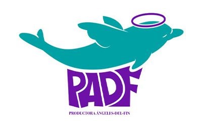 PADF Logo: A playful dolphin icon gracefully accompanies bold uppercase letters 'PADF' in the foreground.